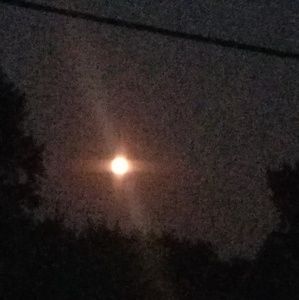 Meet your Posher, Loretta